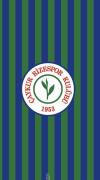 Profil resmi