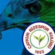 Profil resmi