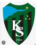 Profil resmi