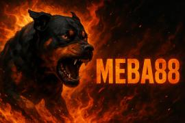 Profil resmi