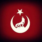 Profil resmi
