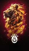 Profil resmi