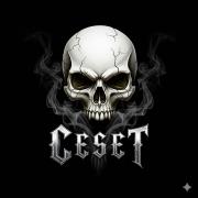 Profil resmi