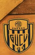 Profil resmi