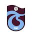 Profil resmi