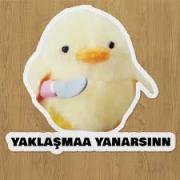Profil resmi