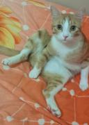 Profil resmi