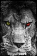 Profil resmi